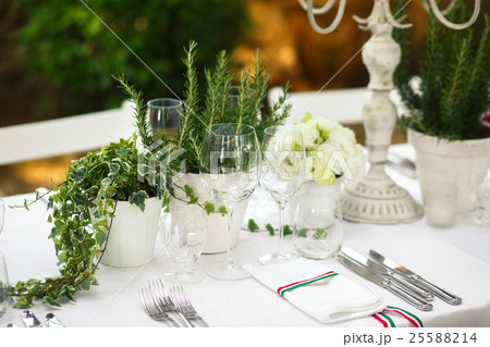 White flowerpots with greenery stand behind White flowerpots with greenery stand behind 25588214