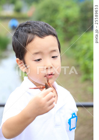 ザリガニを捕まえる子供 ザリガニを捕まえる子供 25589653