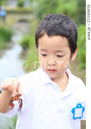 ザリガニを捕まえる子供 ザリガニを捕まえる子供 25589656