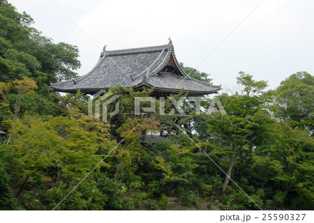 善峯寺三門 善峯寺三門 25590327