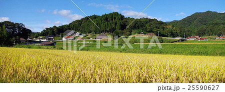 農村風景　山里　稲穂　黄金色　農家　青空　バナー 25590627