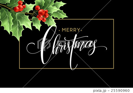 Christmas decoration on chalk board. Vector 25590960