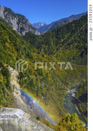 立山黒部アルペンルート　秋の黒部ダム　観光放水でできた虹と黒部渓谷方向を望む 25591014