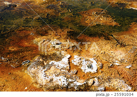 93888　イエローストーン国立公園 25591034