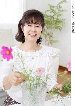 コスモスの花を花瓶に活けるシニアの写真素材