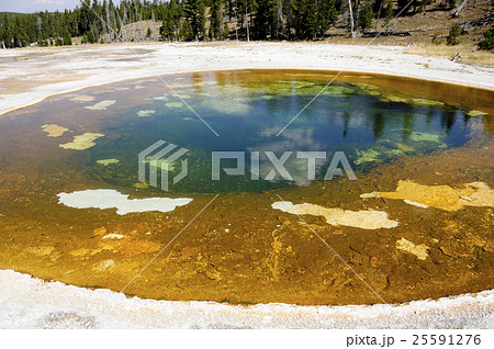 93913　イエローストーン国立公園 25591276