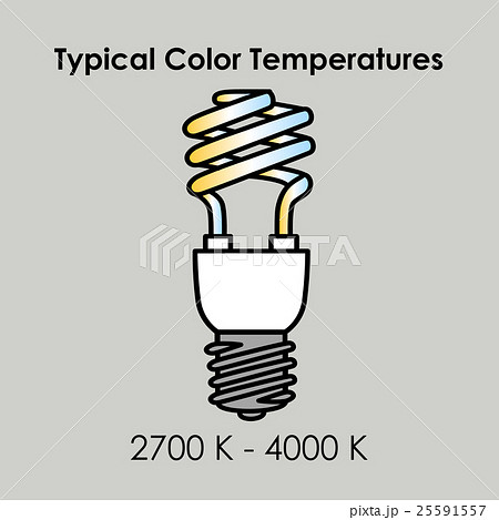 Energy saving light bulb. Vector. 25591557