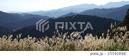 比婆山連邦山並み ススキ バナー 比婆山連邦山並み ススキ バナー 25592698