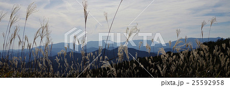 比婆山連邦山並み ススキ バナー 比婆山連邦山並み ススキ バナー 25592958