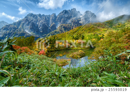 秋の仙人池全景 25593019