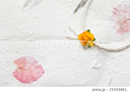 White mulberry paper texture background and oran White mulberry paper texture background and oran 25593661