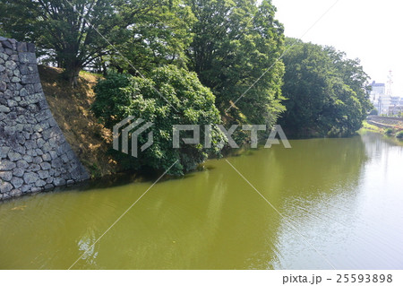 霞城公園の堀 霞城公園の堀 25593898
