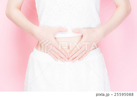 ビューティー　ポートレート　女性 25595088