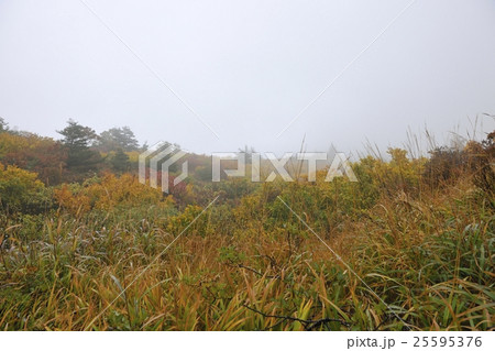 栗駒山（須川岳）・須川登山道の紅葉（岩手県） 25595376