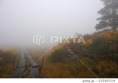 栗駒山（須川岳）・名残ヶ原の紅葉（岩手県） 25595514