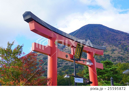 二荒山神社鳥居 二荒山神社鳥居 25595872