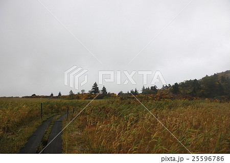 栗駒山（須川岳）・名残ヶ原の紅葉（岩手県） 25596786