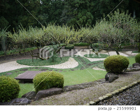 横川苑(横川サービスエリア) 横川苑(横川サービスエリア) 25599901