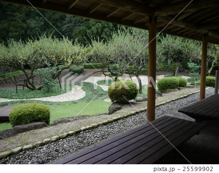 横川苑（横川サービスエリア） 25599902