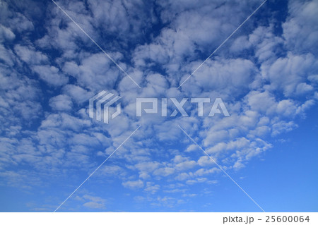 ひつじ雲 25600064