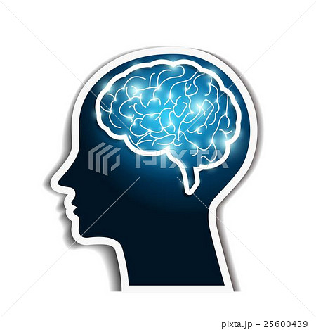 人間の脳のイラスト素材