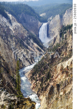 93974　イエローストーン国立公園 25600930