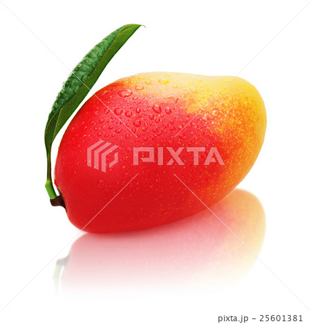 Fresh ripe mango fruit with green leaves isolated on white 25601381