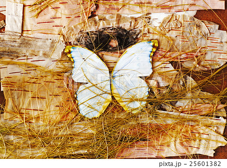 Abstract composition of butterflies and straw. 25601382