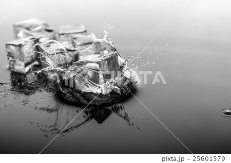 Ice Cube is square Drop 25601579