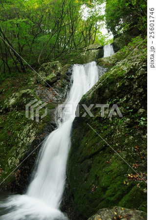 三ツ釜の滝下段 三ツ釜の滝下段 25601746