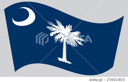 Flag of South Carolina waving on gray background 25601803