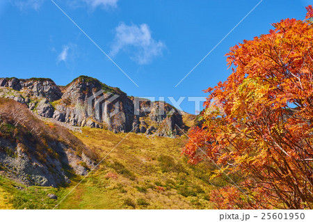 大雪高原温泉 沼めぐりコースから見た高根ヶ原尾根 25601950