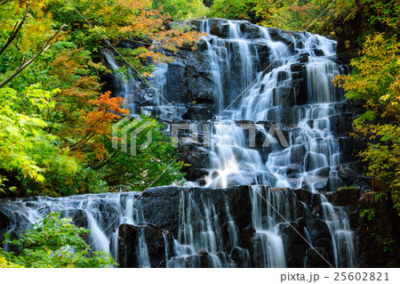 立又渓谷　二の滝　秋田県 25602821