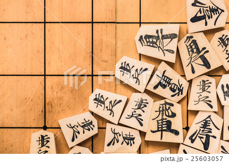 将棋 25603057
