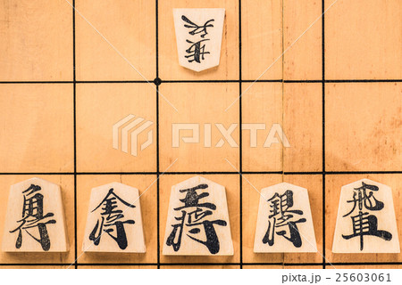 将棋 25603061