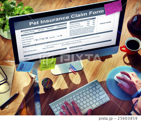 Pet Insurance Claim Form Protection Safety Health Concept 25603859