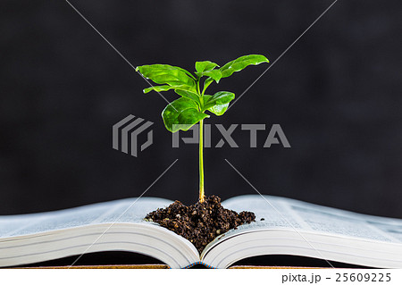 本と植物 25609225