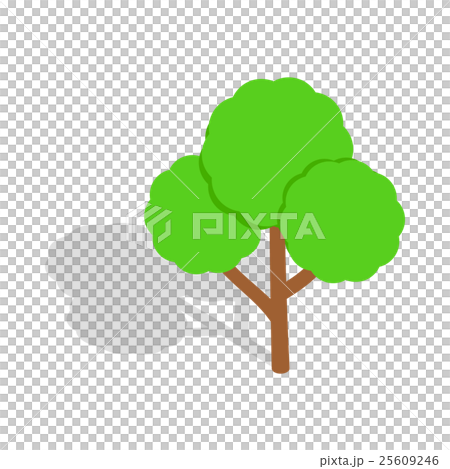 Tree icon, isometric 3d style 25609246