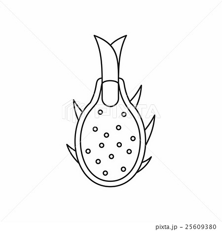 Dragon fruit icon, outline style 25609380