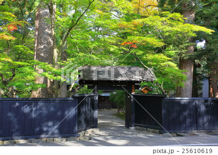 角館町並み 小田野家 角館町並み 小田野家 25610619