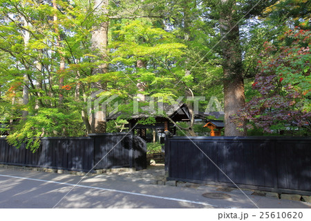 角館町並み　小田野家 25610620