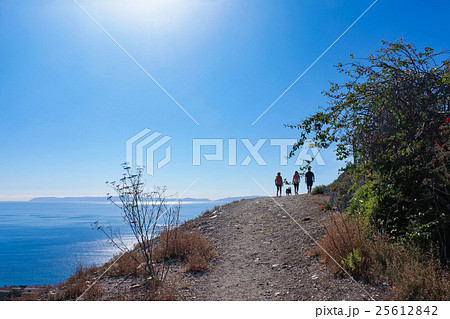 快晴の元パロスバーデス自然保護区の高台の散歩道 25612842