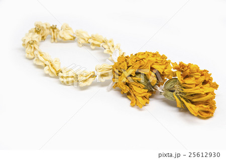 Jasmine garland Jasmine garland 25612930