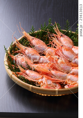 ボタンエビ 25613013