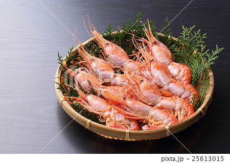 ボタンエビ 25613015