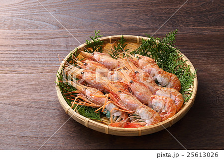 ボタンエビ ボタンエビ 25613026