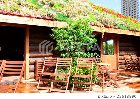 庭園内のカフェ 25613890