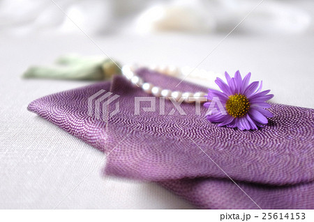 友禅菊 25614153