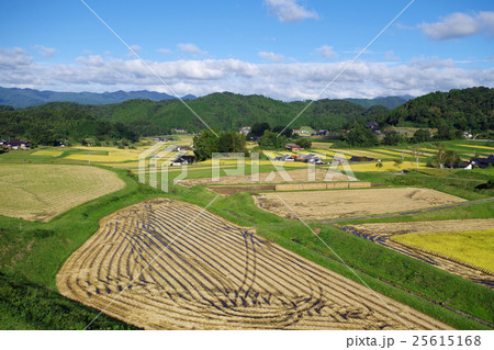 稲刈り後の田　青空　雲　稲株　山並み 25615168