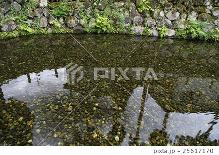 六郷湧水 御台所清水1 六郷湧水 御台所清水1 25617170